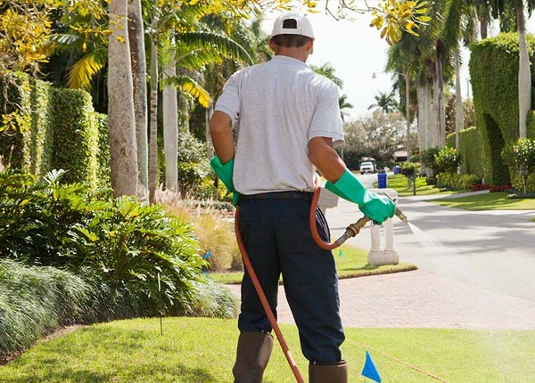 About Shadyside OH Pest Control